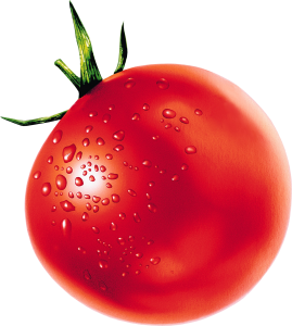 Tomato PNG-12512